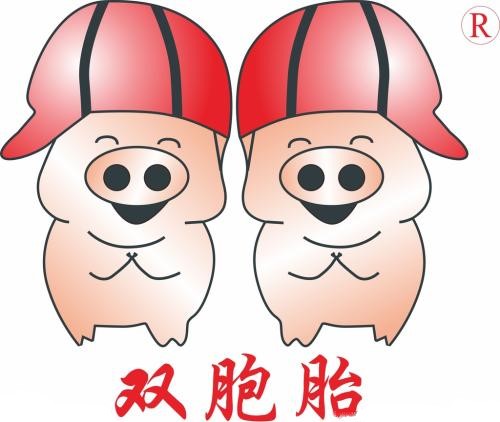 雙胞胎